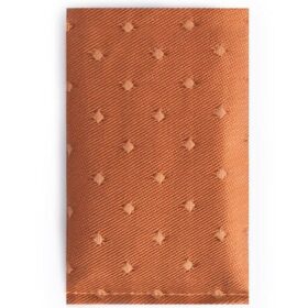 P6 (Daily Protection)